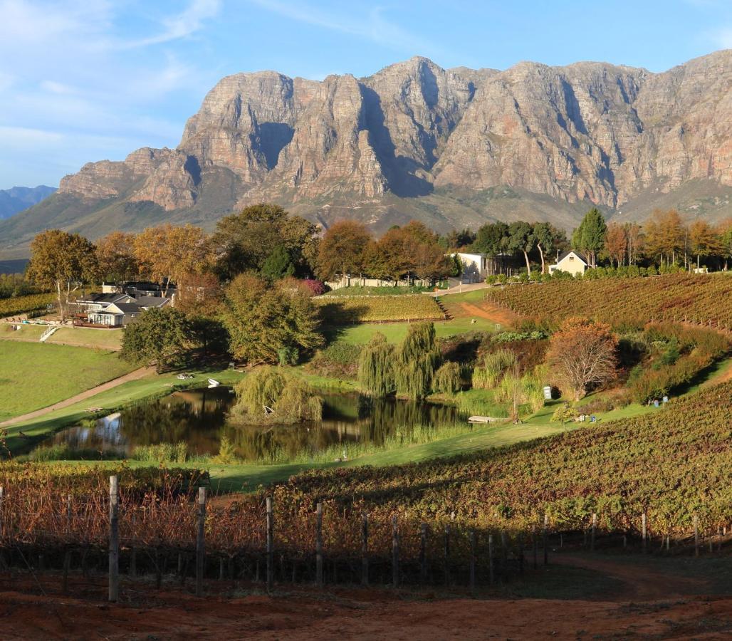 Alluvia Boutique Winery & Luxury Accommodation Stellenbosch Exteriör bild The Paarl Mountain Range