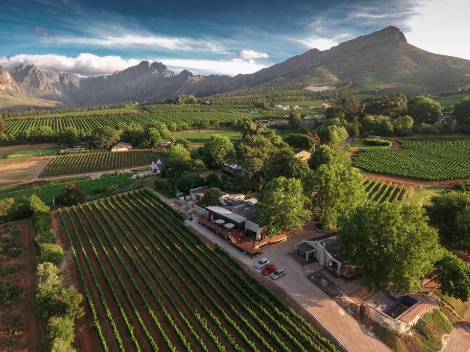 Alluvia Boutique Winery & Luxury Accommodation Stellenbosch Exteriör bild Aerial view of the winery