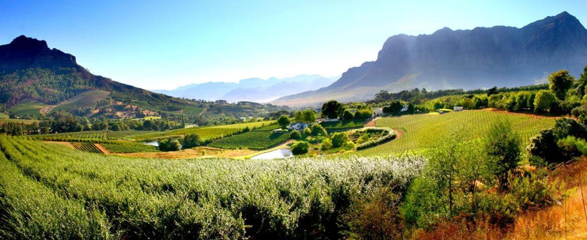 Alluvia Boutique Winery & Luxury Accommodation Stellenbosch Exteriör bild The Paarl Wine Route