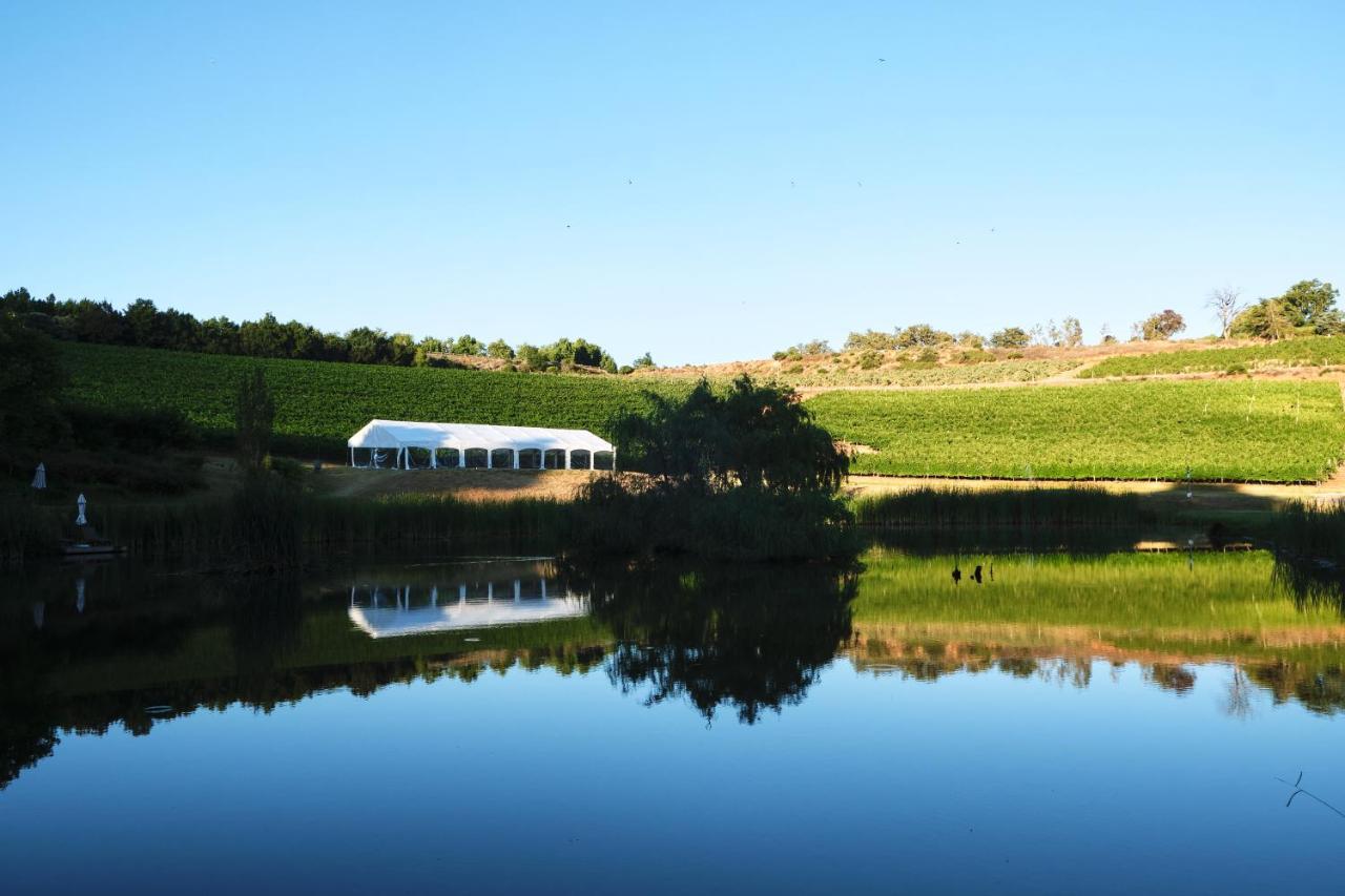 Alluvia Boutique Winery & Luxury Accommodation Stellenbosch Exteriör bild The vineyard at the winery