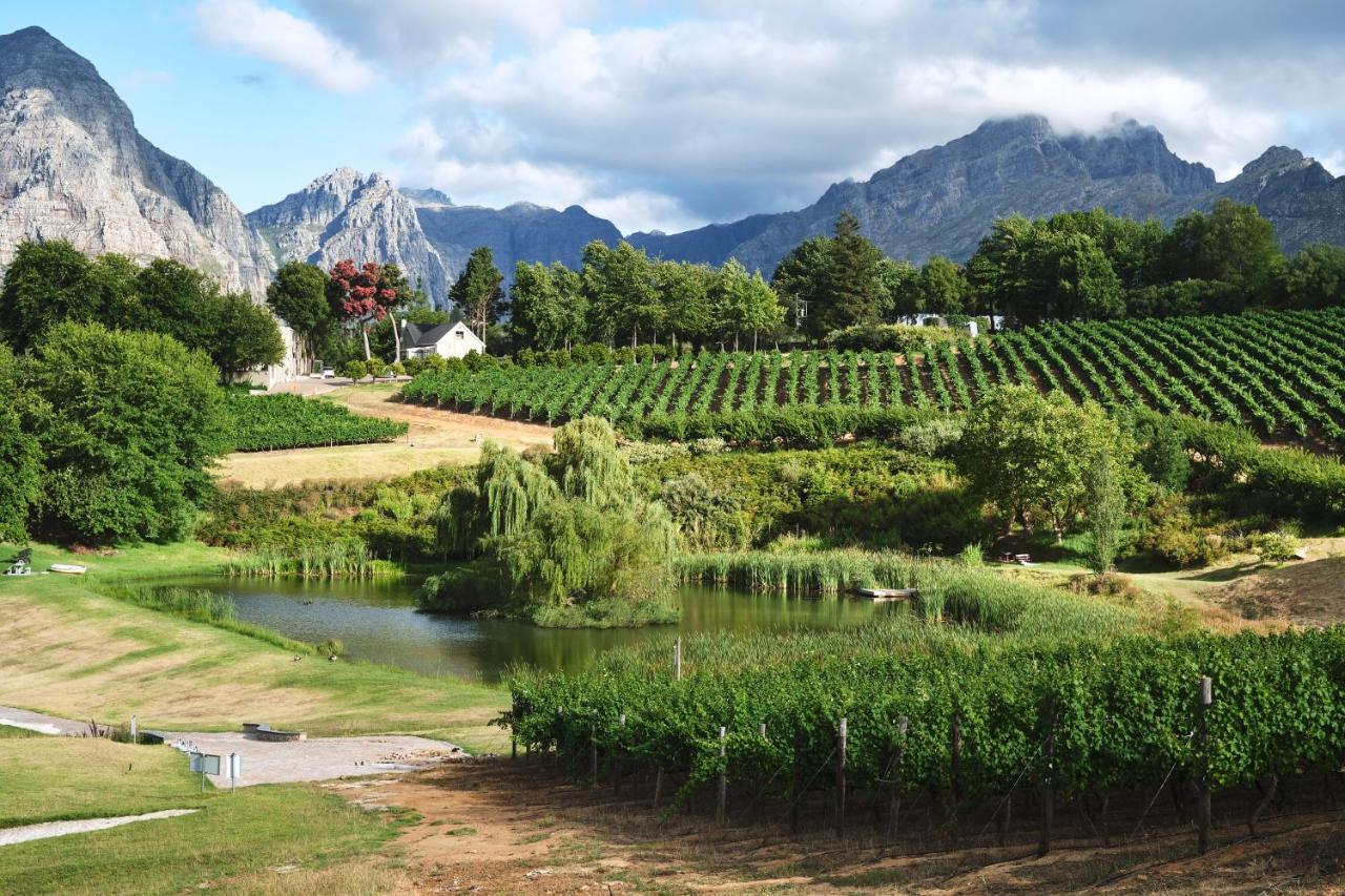 Alluvia Boutique Winery & Luxury Accommodation Stellenbosch Exteriör bild Wine estate in Stellenbosch