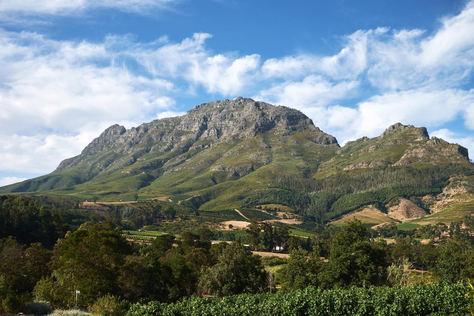 Alluvia Boutique Winery & Luxury Accommodation Stellenbosch Rum bild The Helderberg