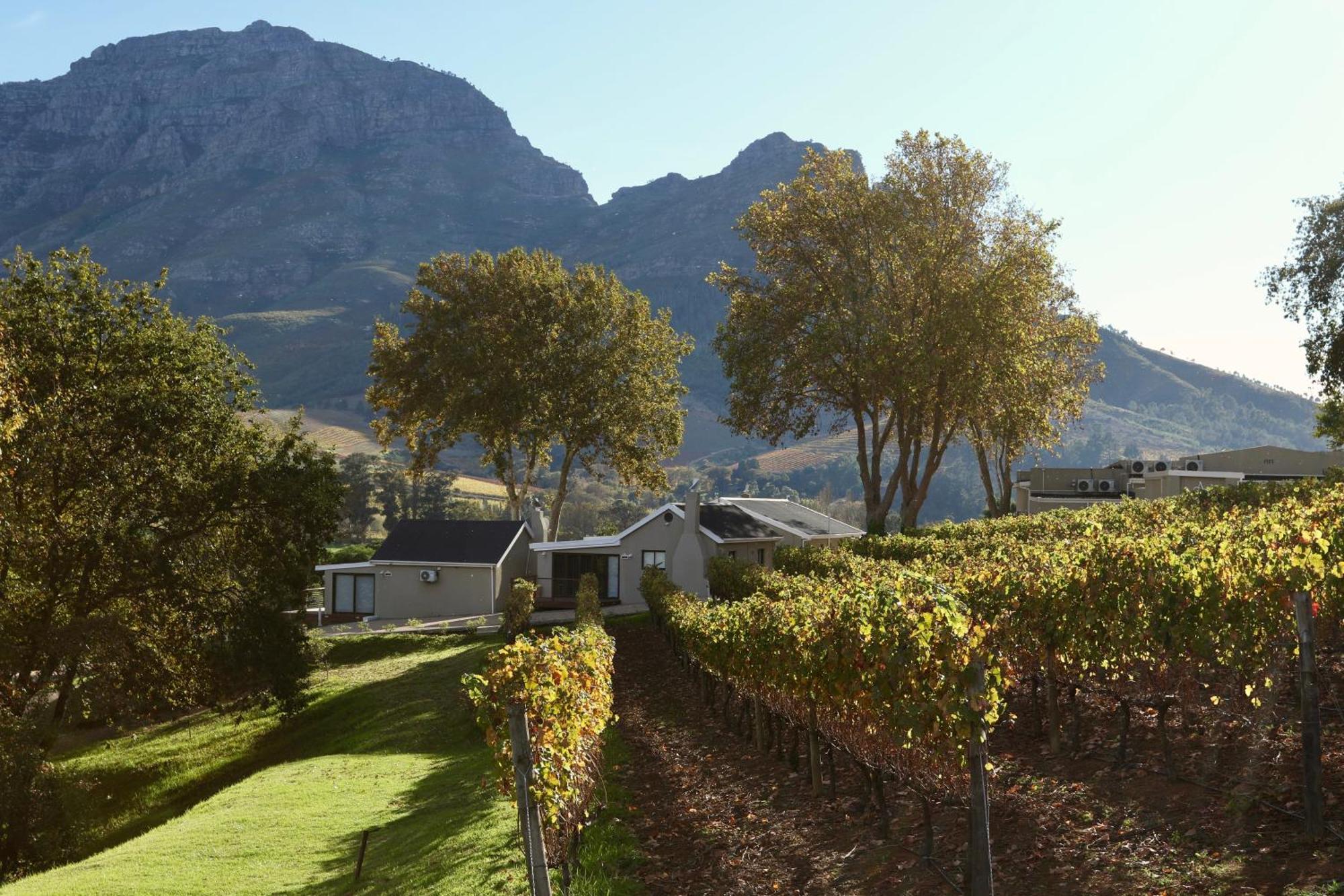Alluvia Boutique Winery & Luxury Accommodation Stellenbosch Rum bild Wine estate in Stellenbosch