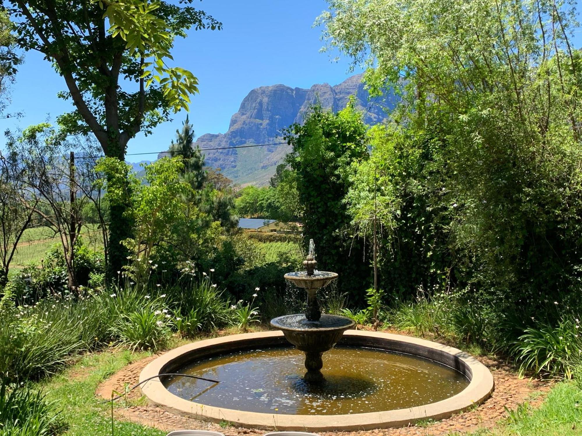 Alluvia Boutique Winery & Luxury Accommodation Stellenbosch Rum bild Fountain at the entrance of the Tokai Arboretum